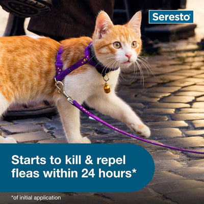 Cat on a leash with a Seresto product label