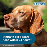 Seresto Flea & Tick Collar For Dogs Over 18 lbs