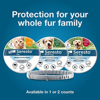 Seresto Flea & Tick Collar For Dogs Over 18 lbs